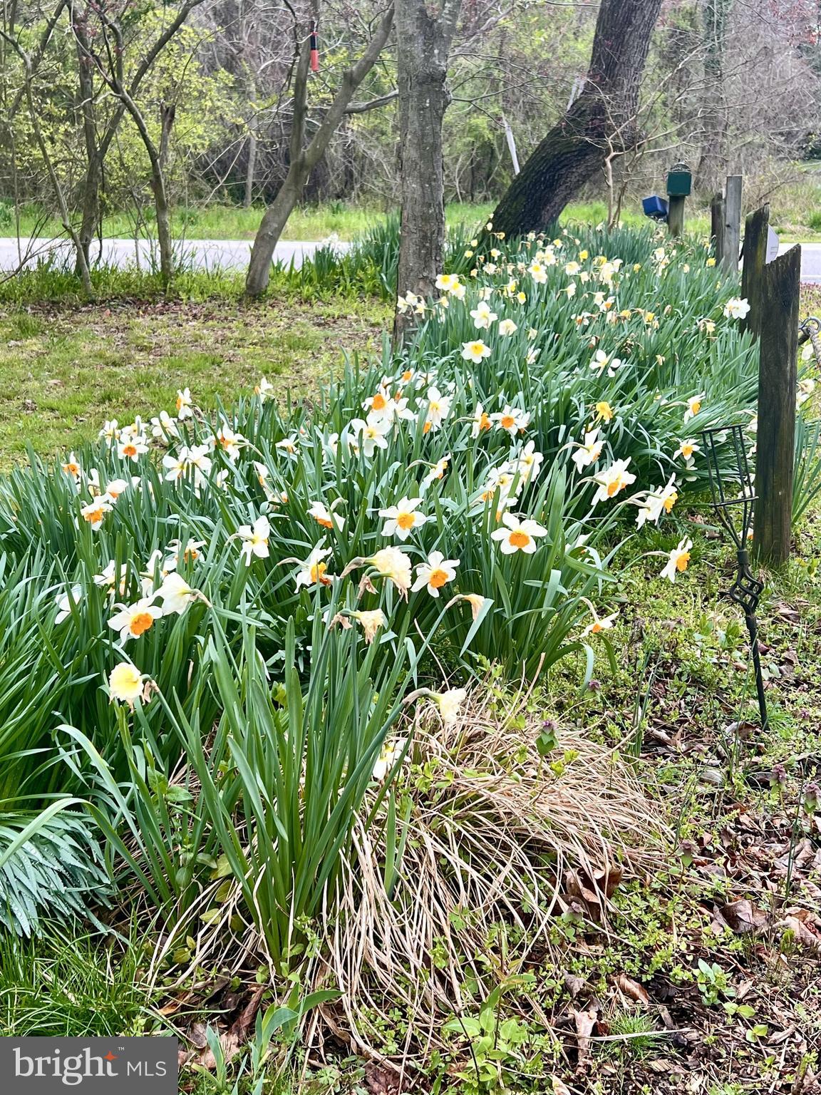 GREEN GABLES - Residential