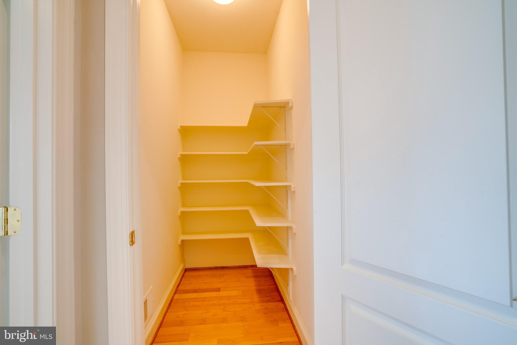 POPLAR TREE - Residential