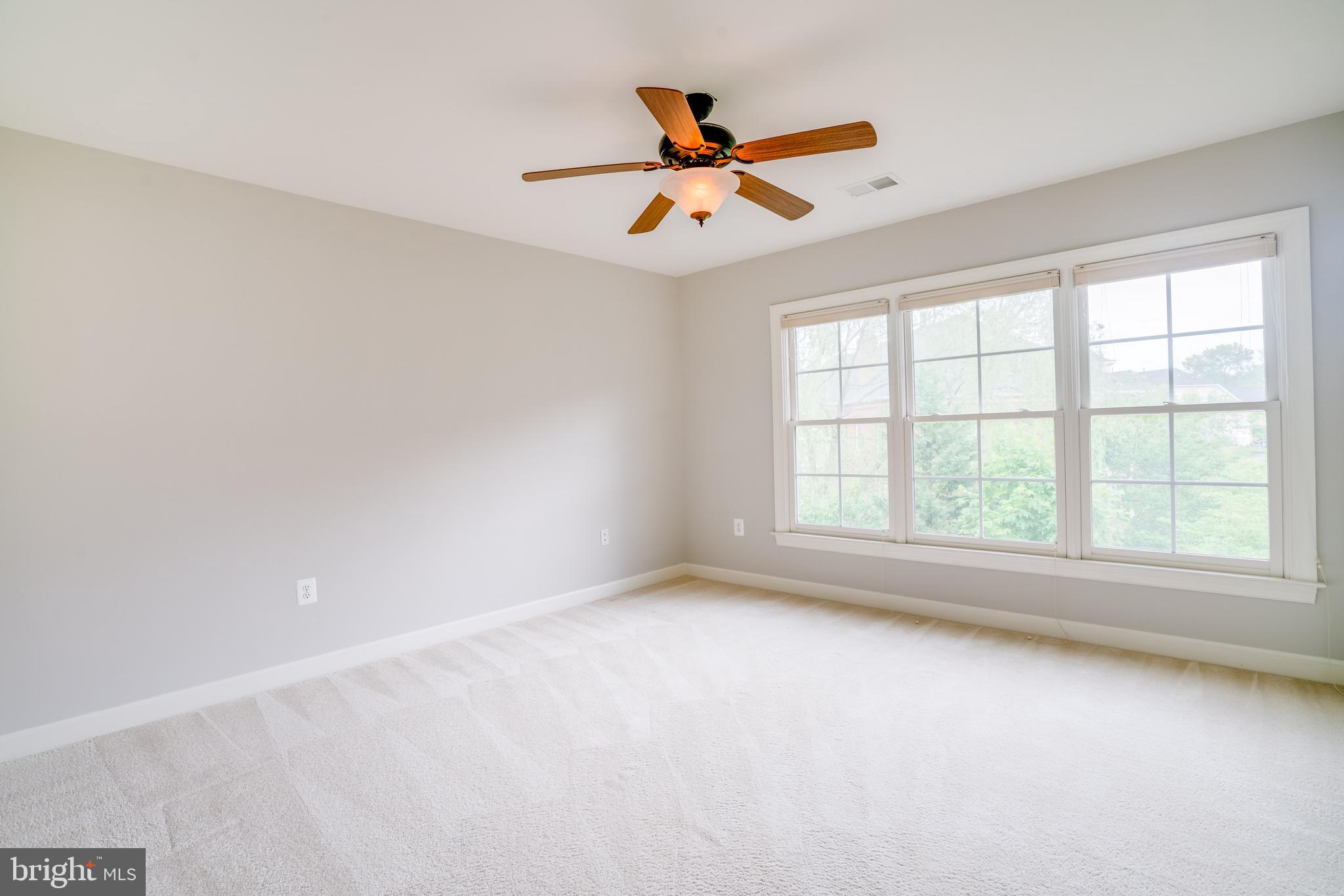 POPLAR TREE - Residential