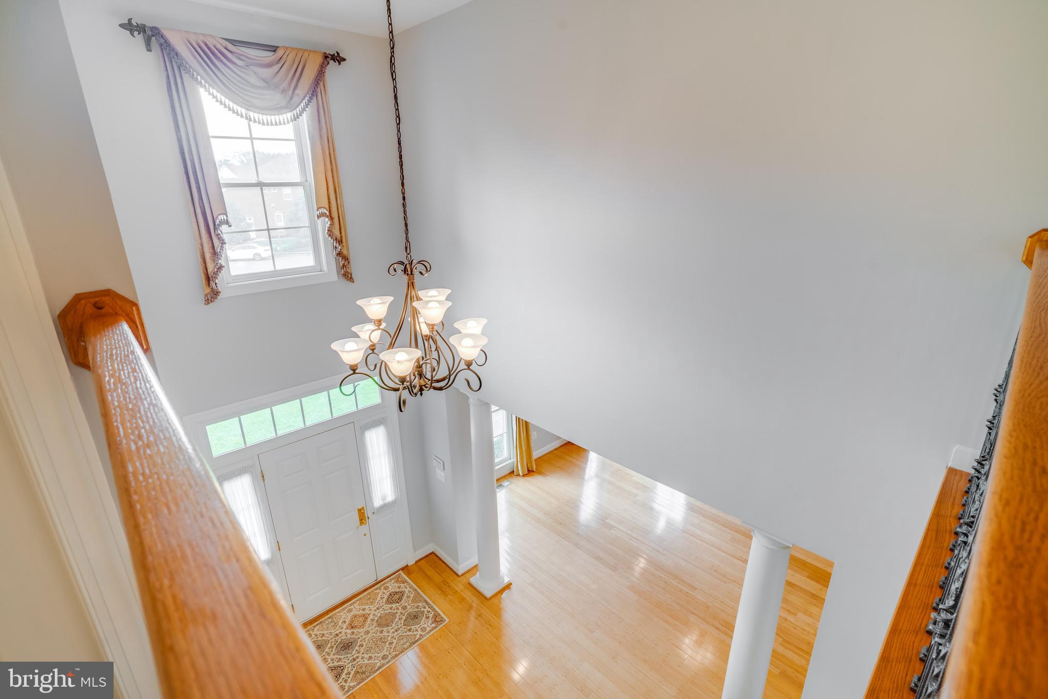 POPLAR TREE - Residential