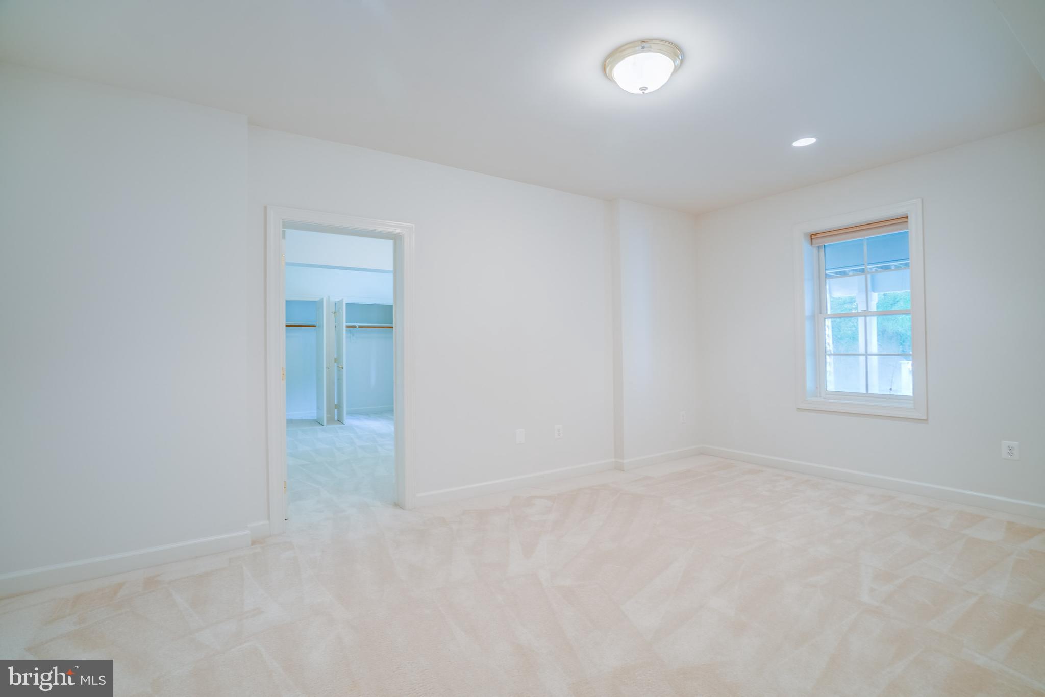 POPLAR TREE - Residential