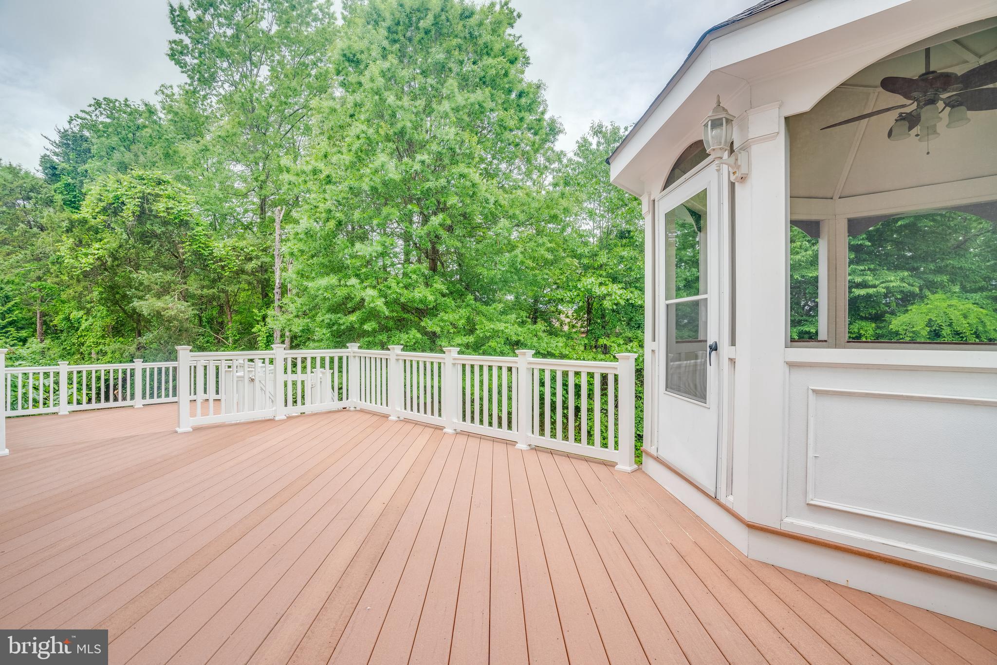 POPLAR TREE - Residential