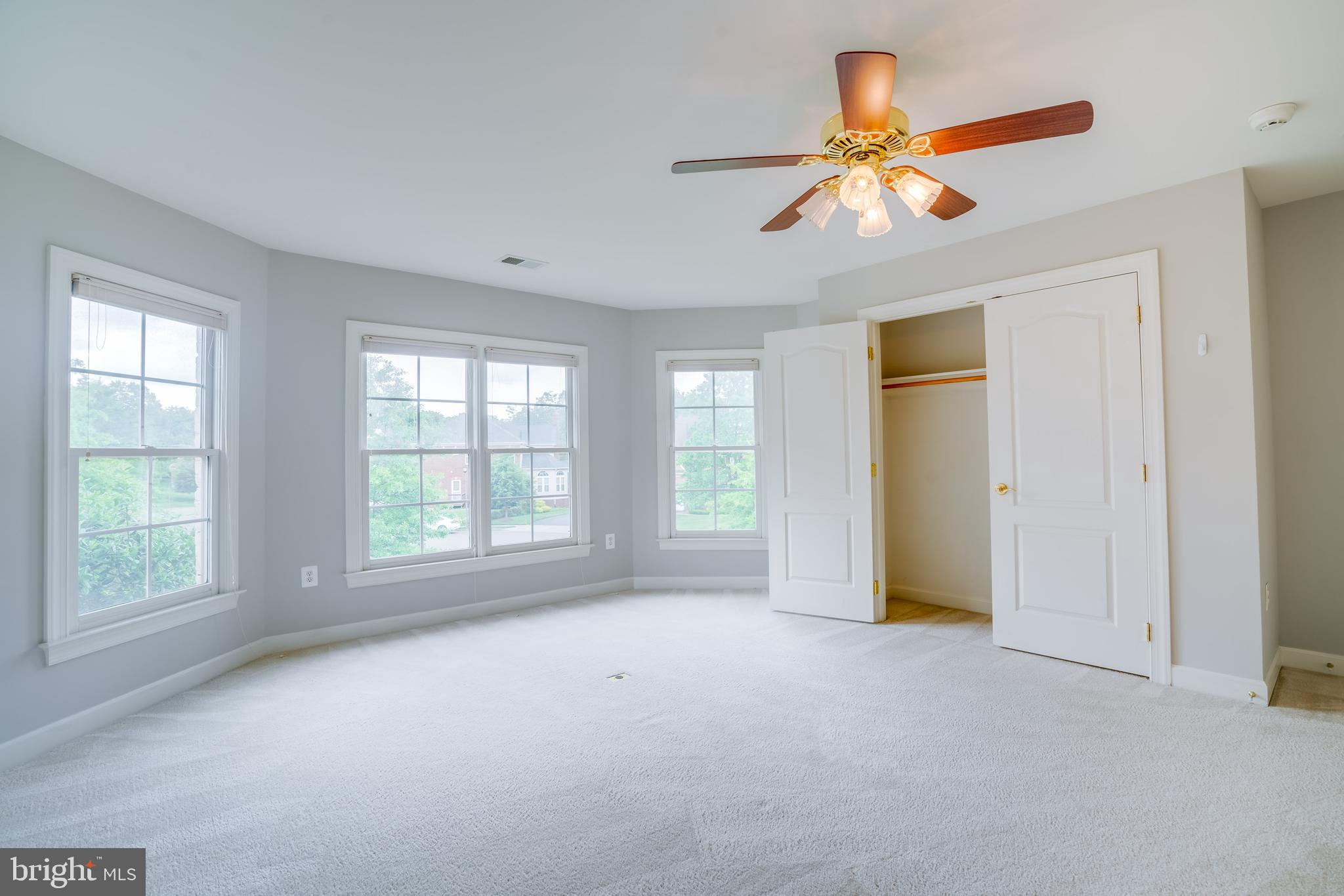 POPLAR TREE - Residential