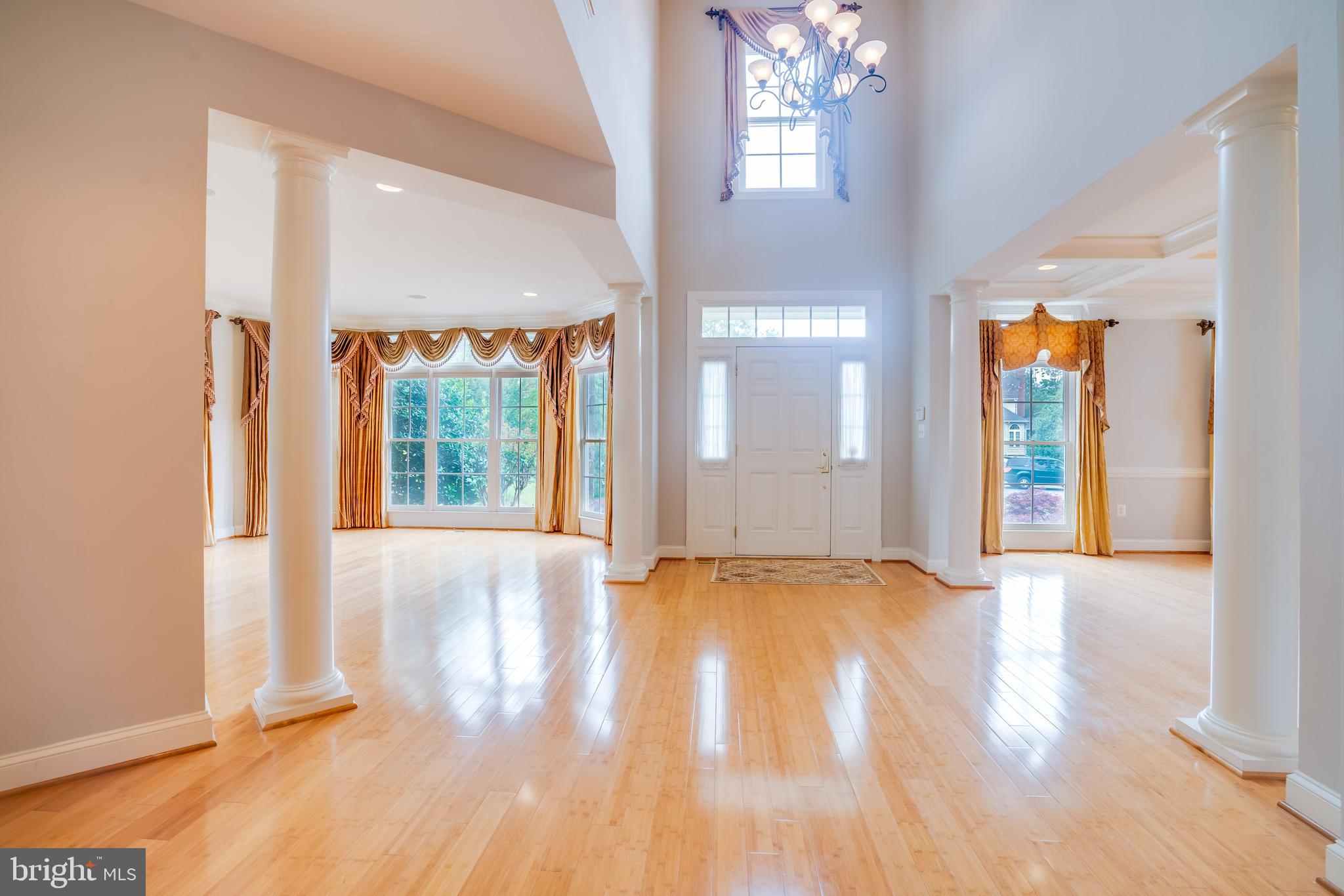 POPLAR TREE - Residential