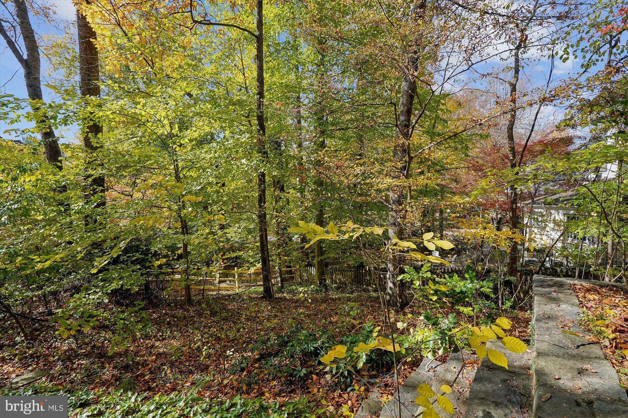 BRADLEY HILLS GROVE - Residential