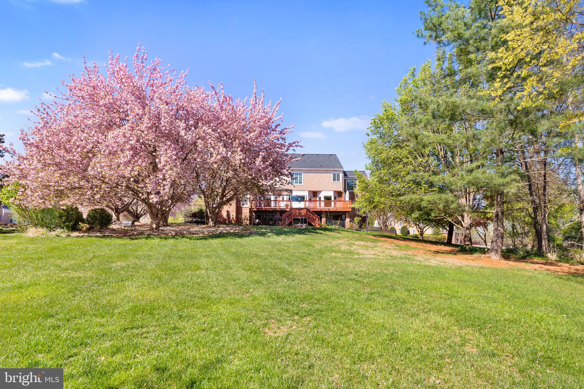 WATERLOO NORTH - Residential