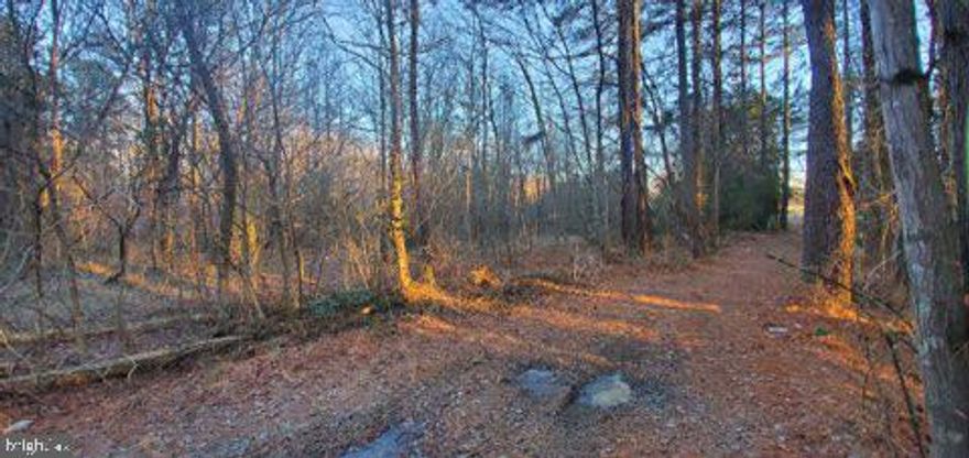 Great Piece of land ready to be built on.  Small little community right outside Down Town Fredericksburg right off route 3. Soil work is completed and the land can support a 3 bedroom home in  Stafford County, feeds into Ferry Farm school district& 10 minutes from Downtown Fredericksburg, VRE, and I-95. 20 Minutes from Central Park. Great location if you work at Dahlgren as well. 4.51 Acre lot that is wooded with flat terrain, in a mature community. Still, tranquil setting in a great location! Ready for a new Owner! Directions: (39 Grandview Rd in GPS will get you to the land listing) Head south on I-95 S. Take exit 130A for State 3 E toward Fredericksburg. Merge onto Plank Rd. Continue straight to stay on Plank Rd. Continue onto William St. Continue onto Blue and Gray Pkwy. Slight right onto the VA-3 ramp. Continue onto VA-3 E. Make a U-turn at Little St. Turn right onto Grandview Rd. Keep going down Grandview Rd, the paved road will turn into a gravel road. You will see signs that say no trespassing (they are referring to their U shaped driveway on the left), and home (39 Grandview Rd) to the left; continue forward onto a non-paved, non-gravel road and slightly right until you see the for sale sign.