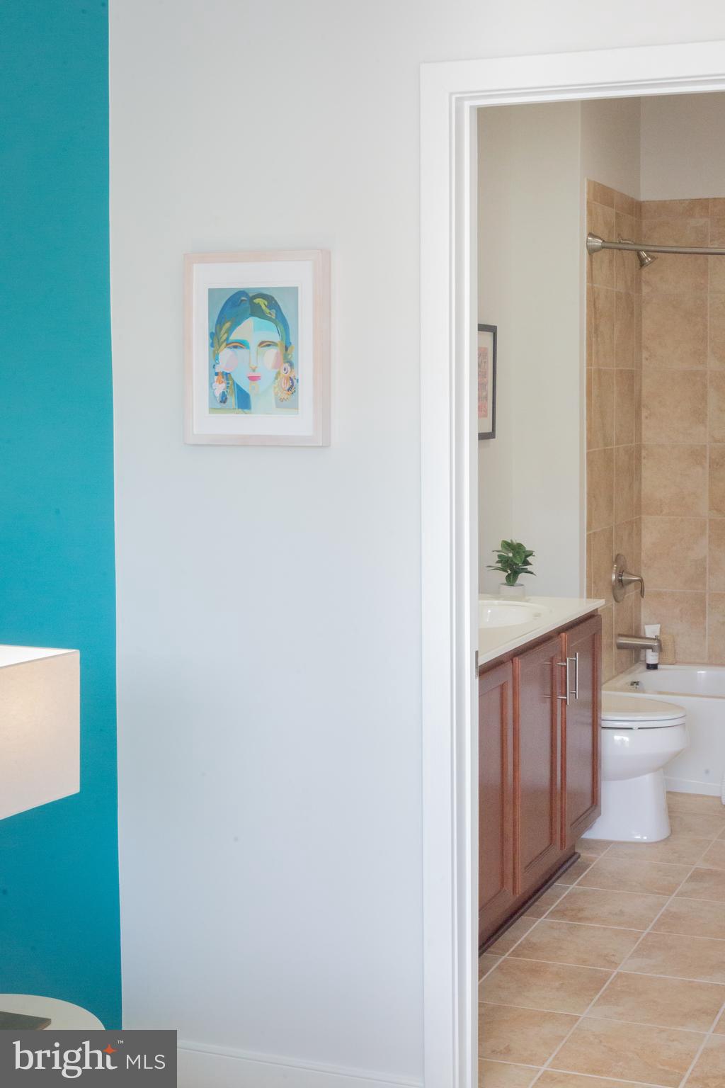 ARTS DISTRICT HYATTSVILLE - Residential