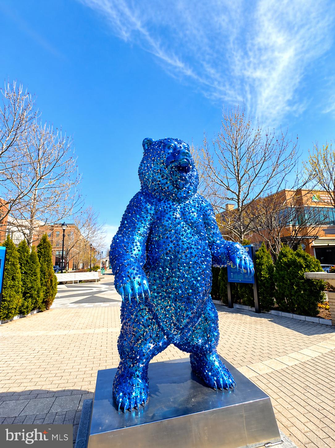 ARTS DISTRICT HYATTSVILLE - Residential