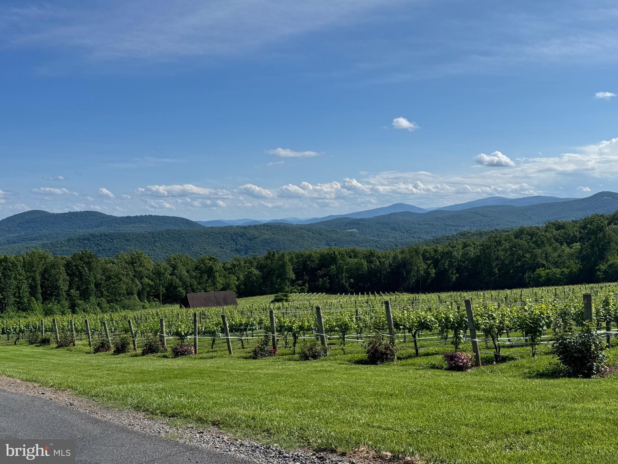 SHENANDOAH FARMS - Residential