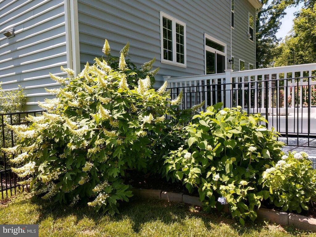 WILD ROSE - Residential