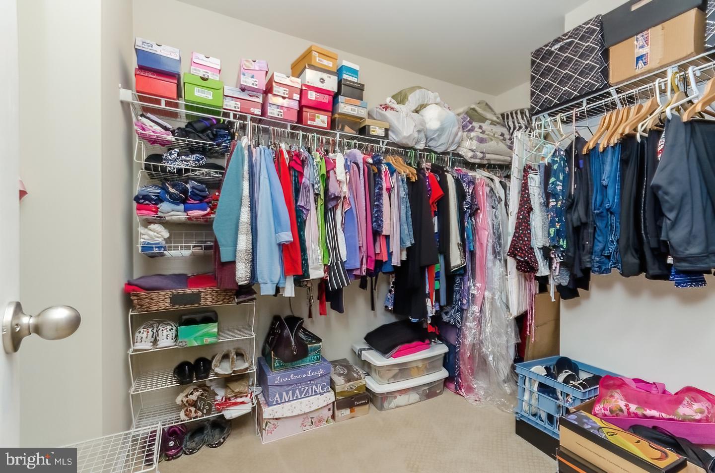 WILD ROSE - Residential