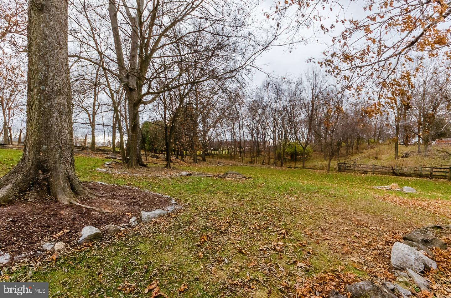 WILD ROSE - Residential