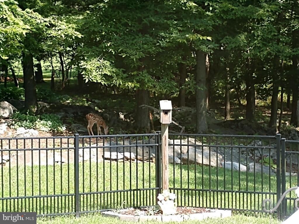 WILD ROSE - Residential