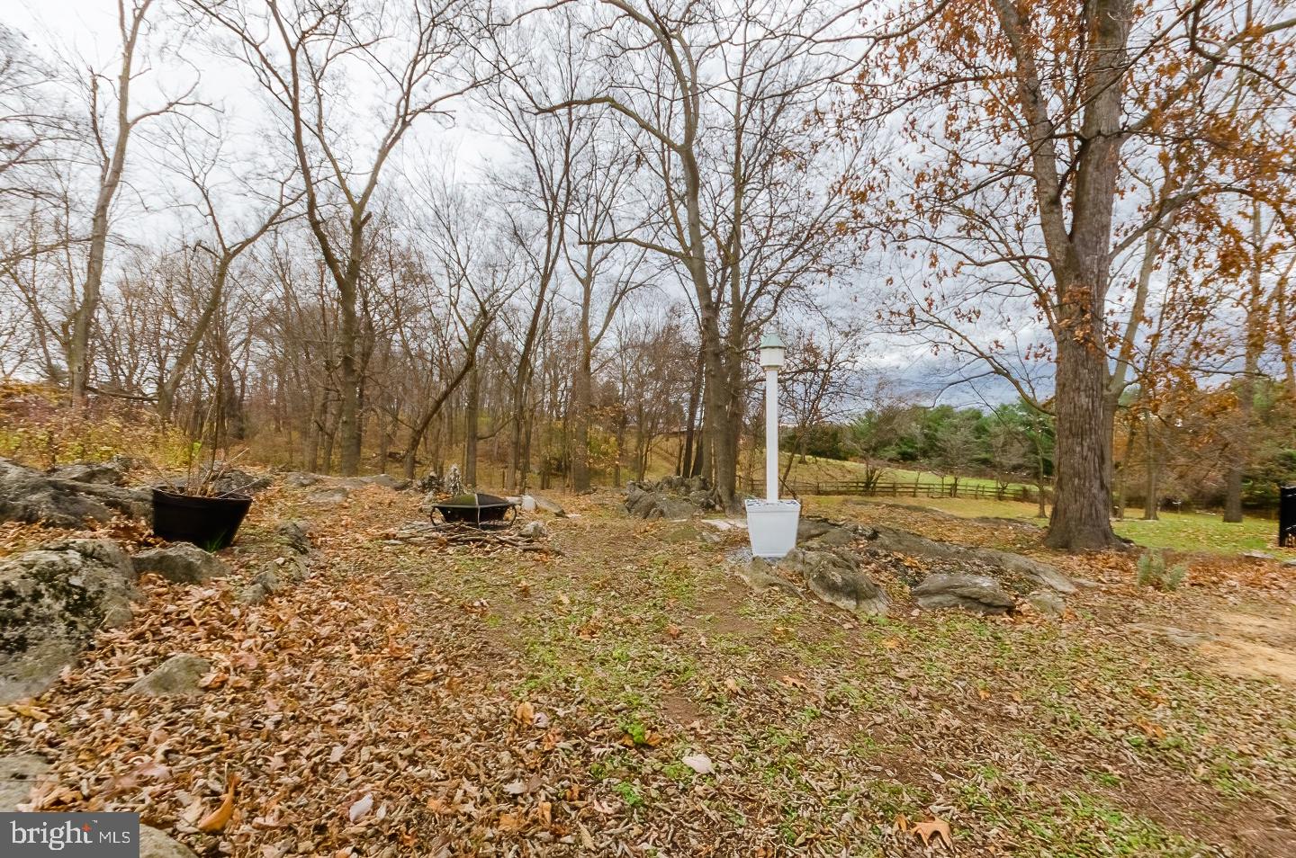 WILD ROSE - Residential