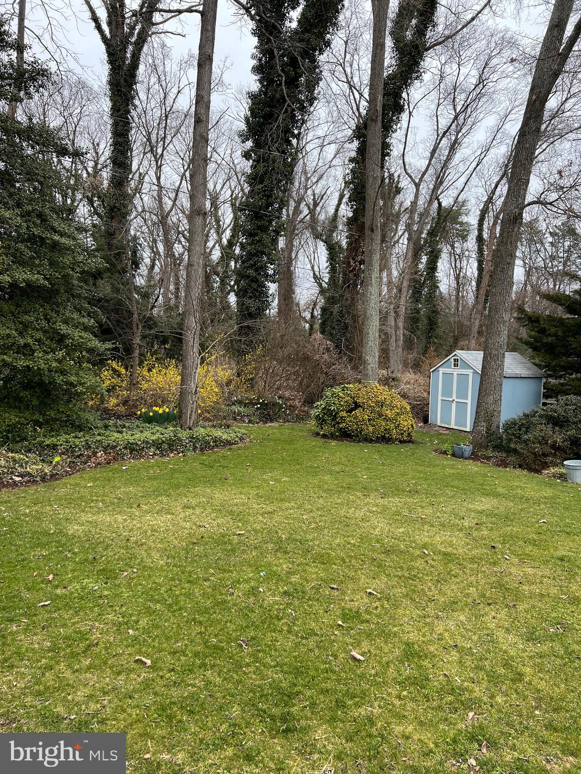 WHITEHURST - Residential