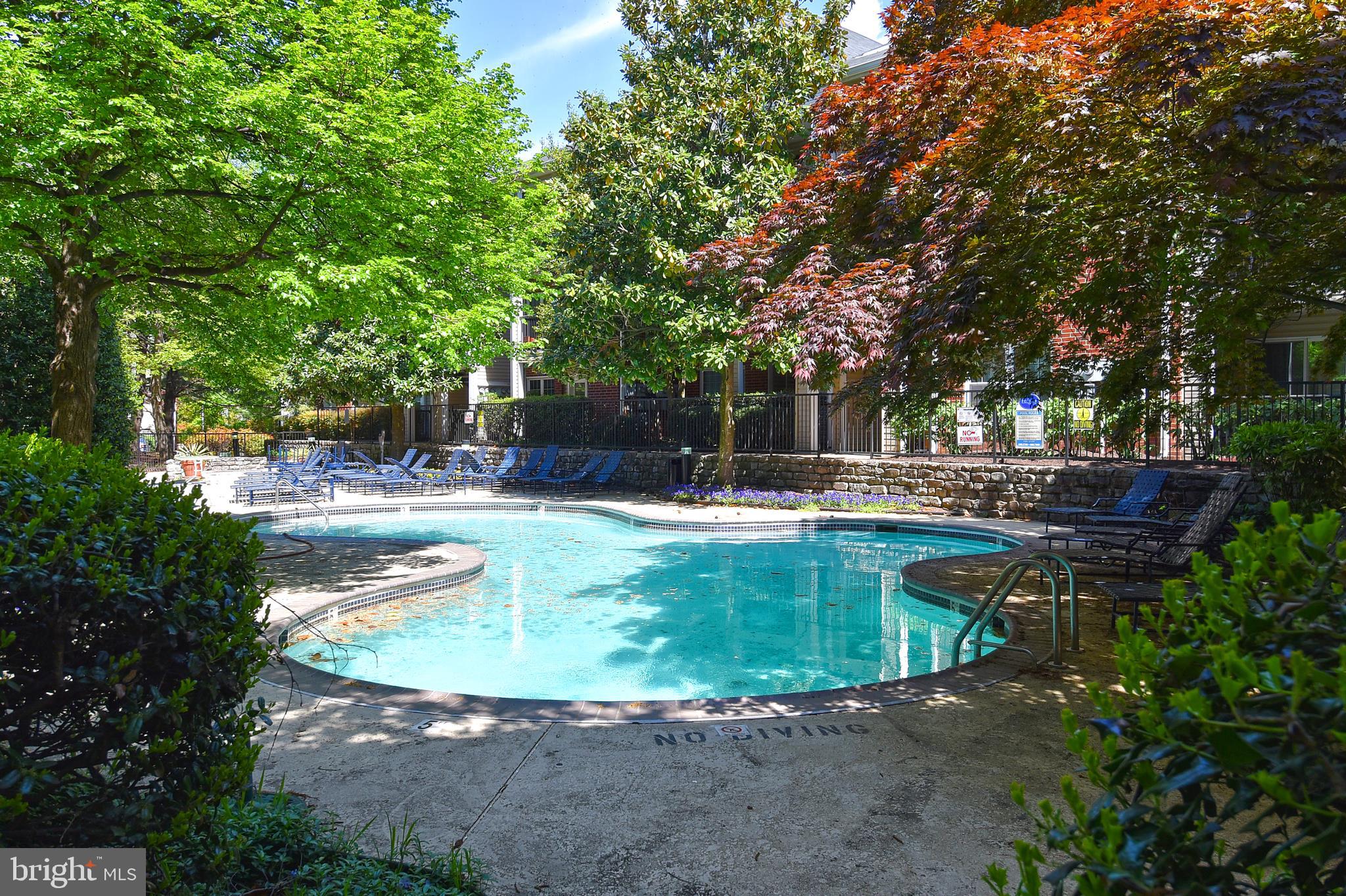 POINTE AT PARK CENTER - Residential