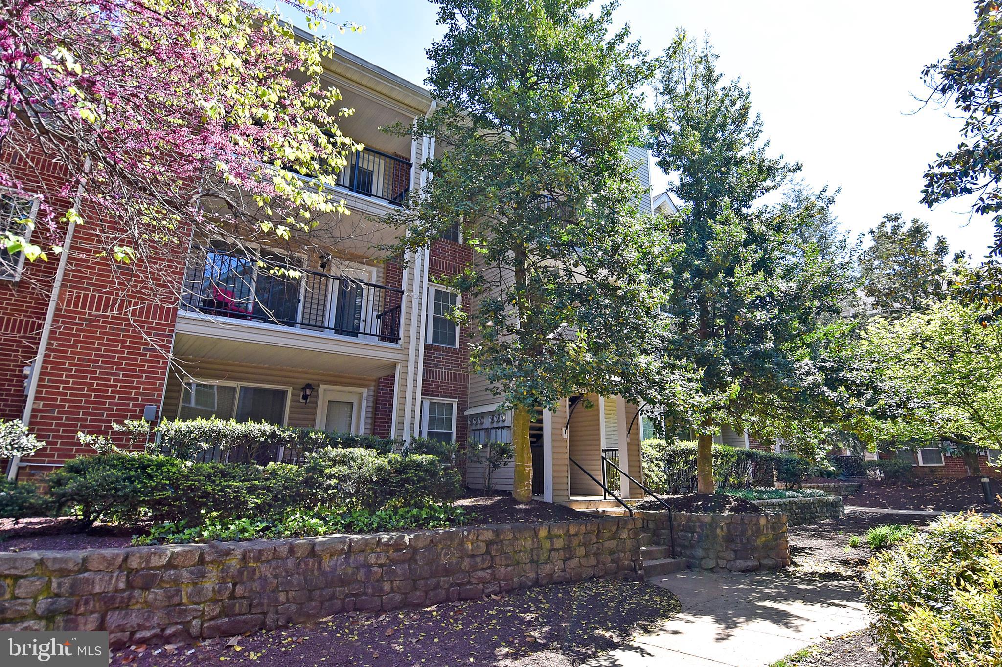 POINTE AT PARK CENTER - Residential