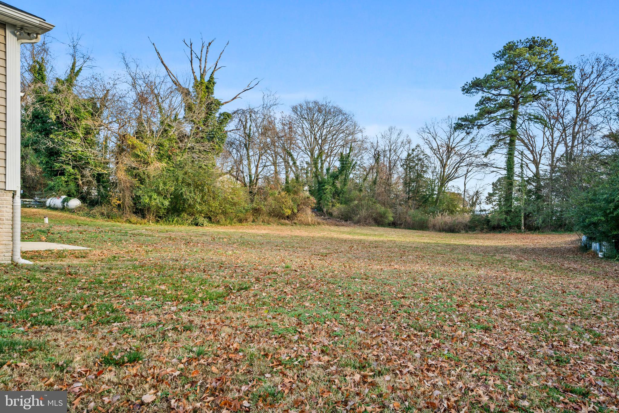 ROUSBY HALL WOODS - Residential