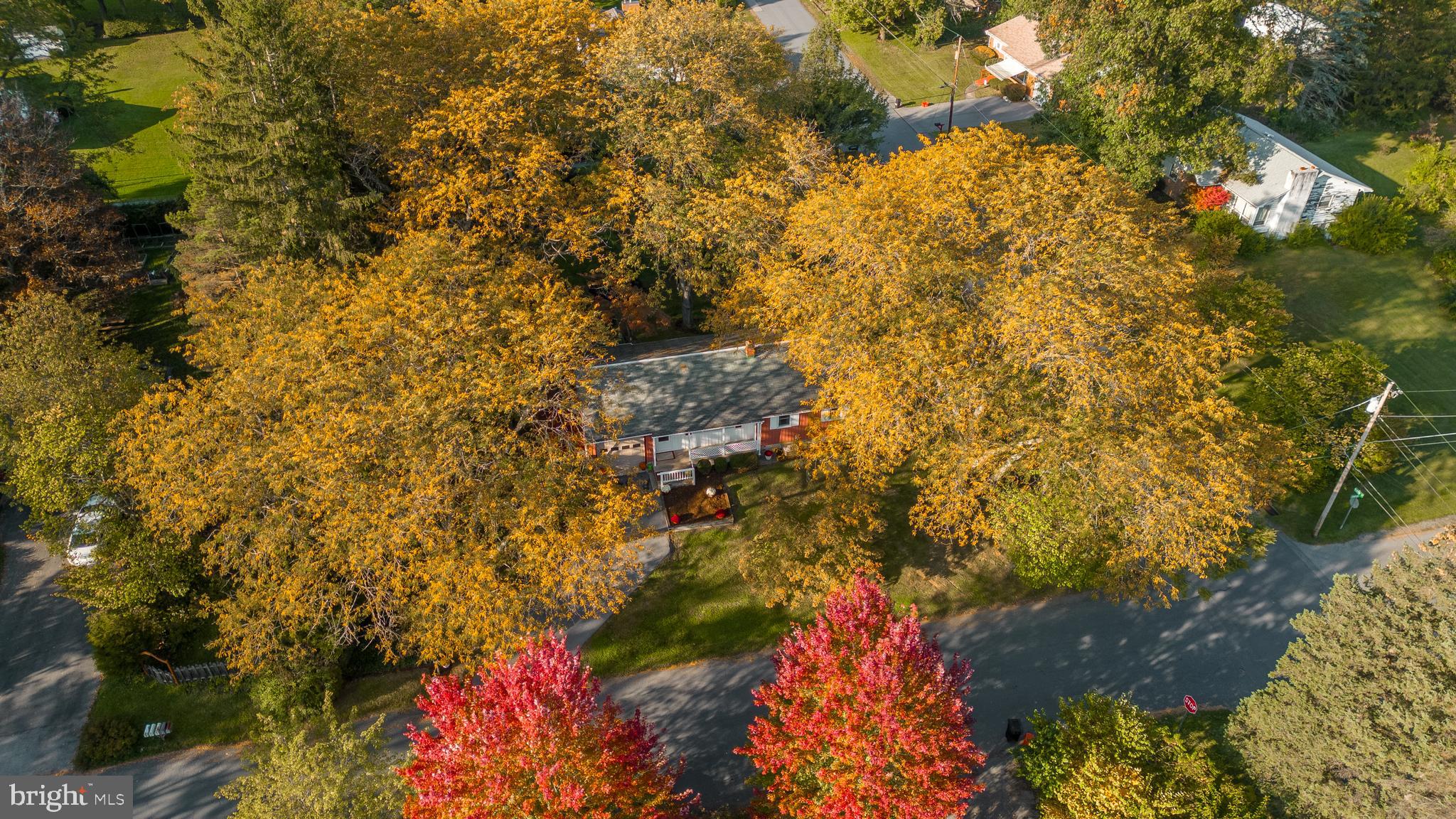 THE HILL - Residential