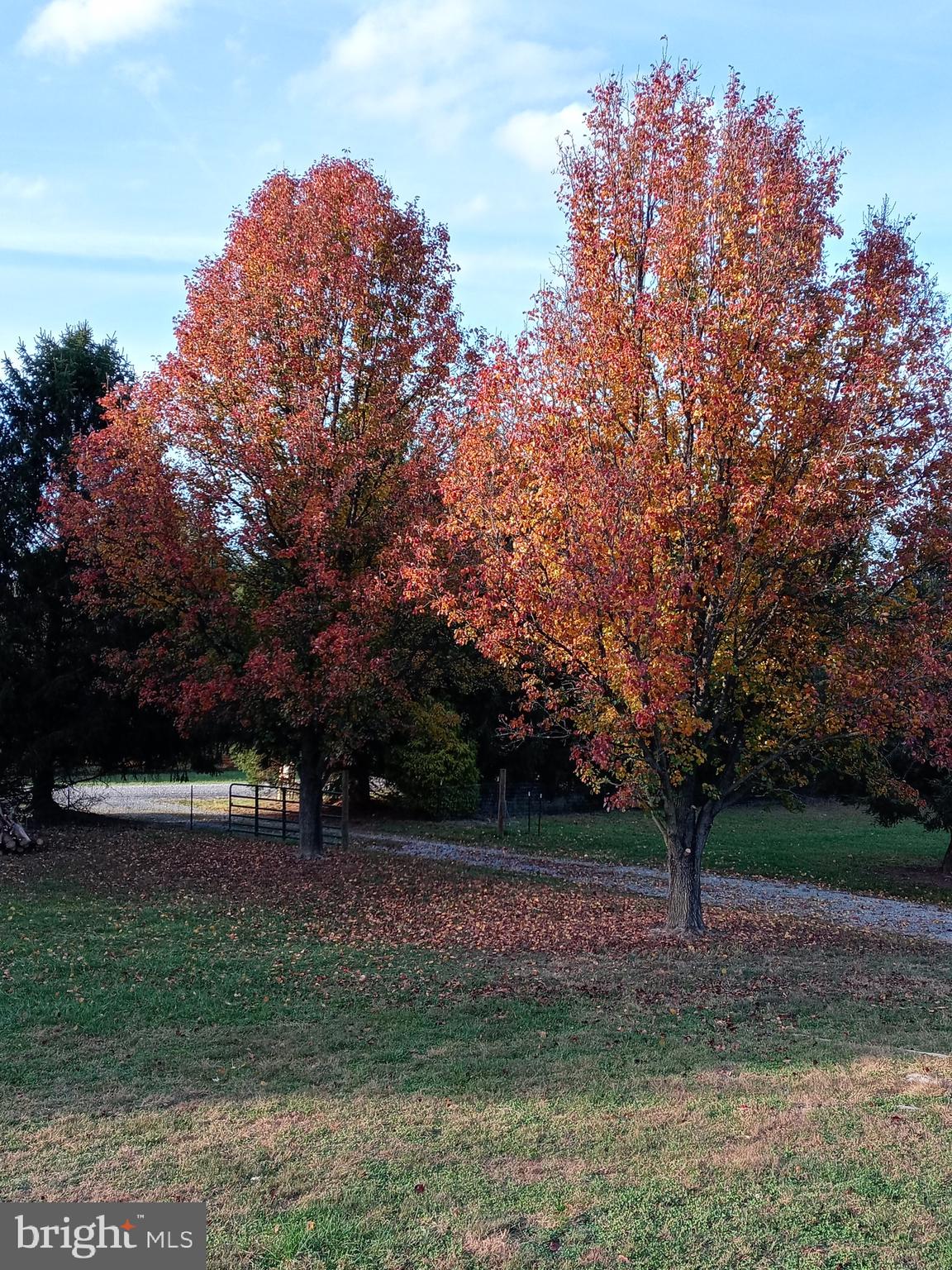 SLEEPY CREEK ORCHARD - Residential