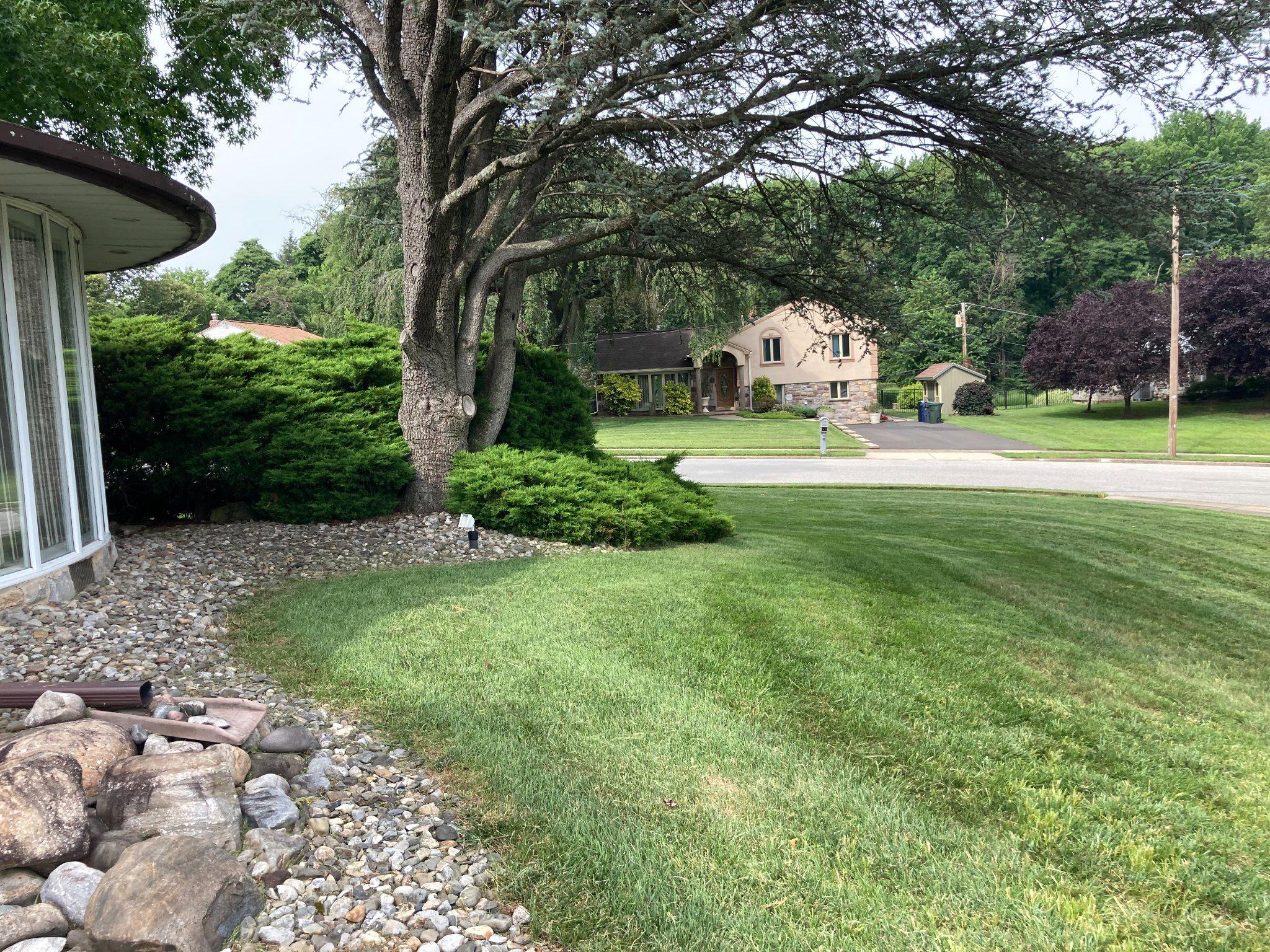 JUNE MEADOWS - Residential