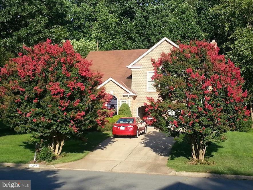 HAMPTON FOREST - Residential