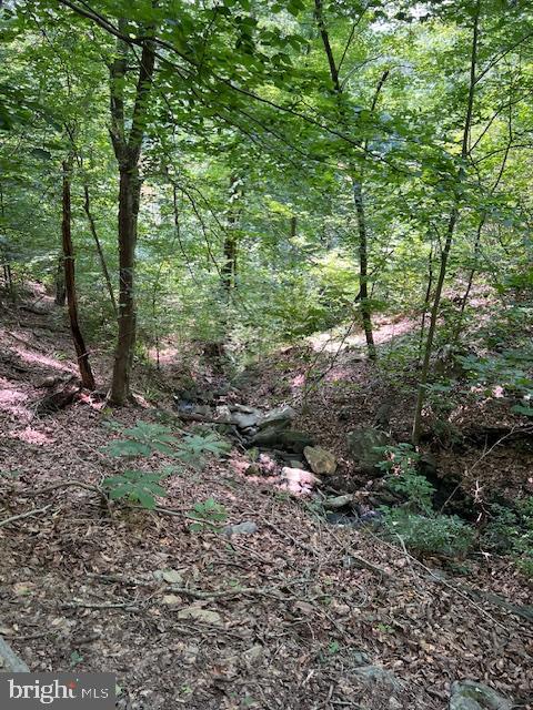 WELLINGTON CHASE ON THE RAPPAHANNOCK - Residential