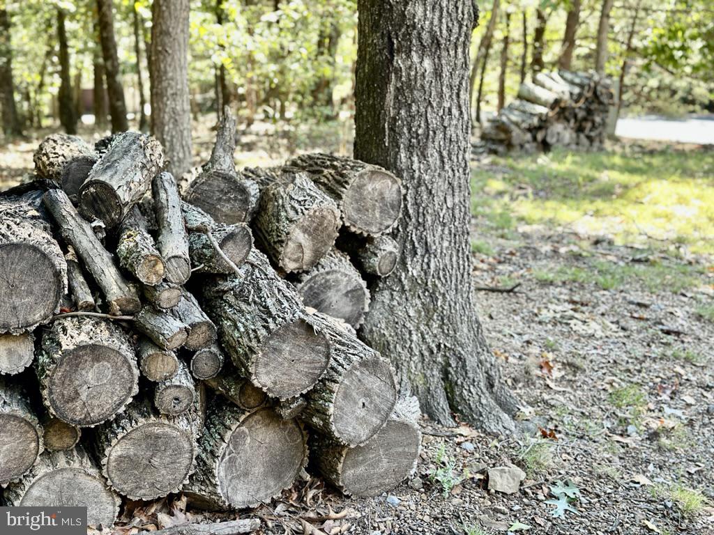 THE WOODS - Residential