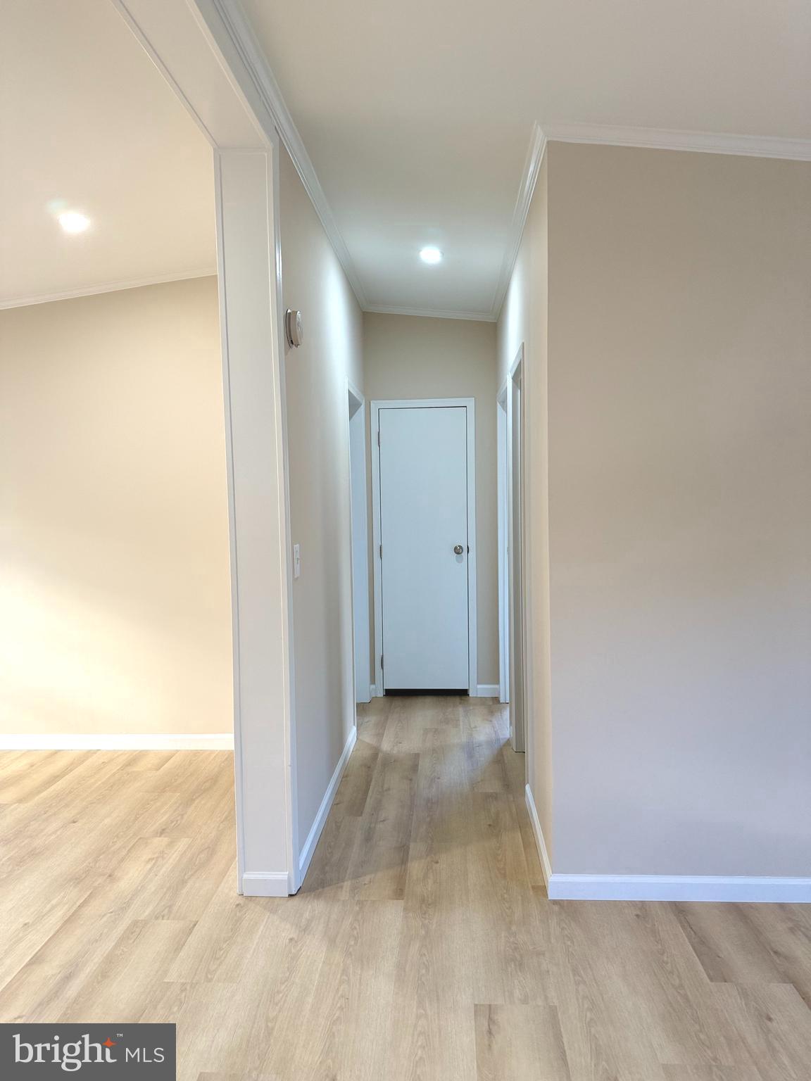 MEADOWS OF CHANTILLY - Residential