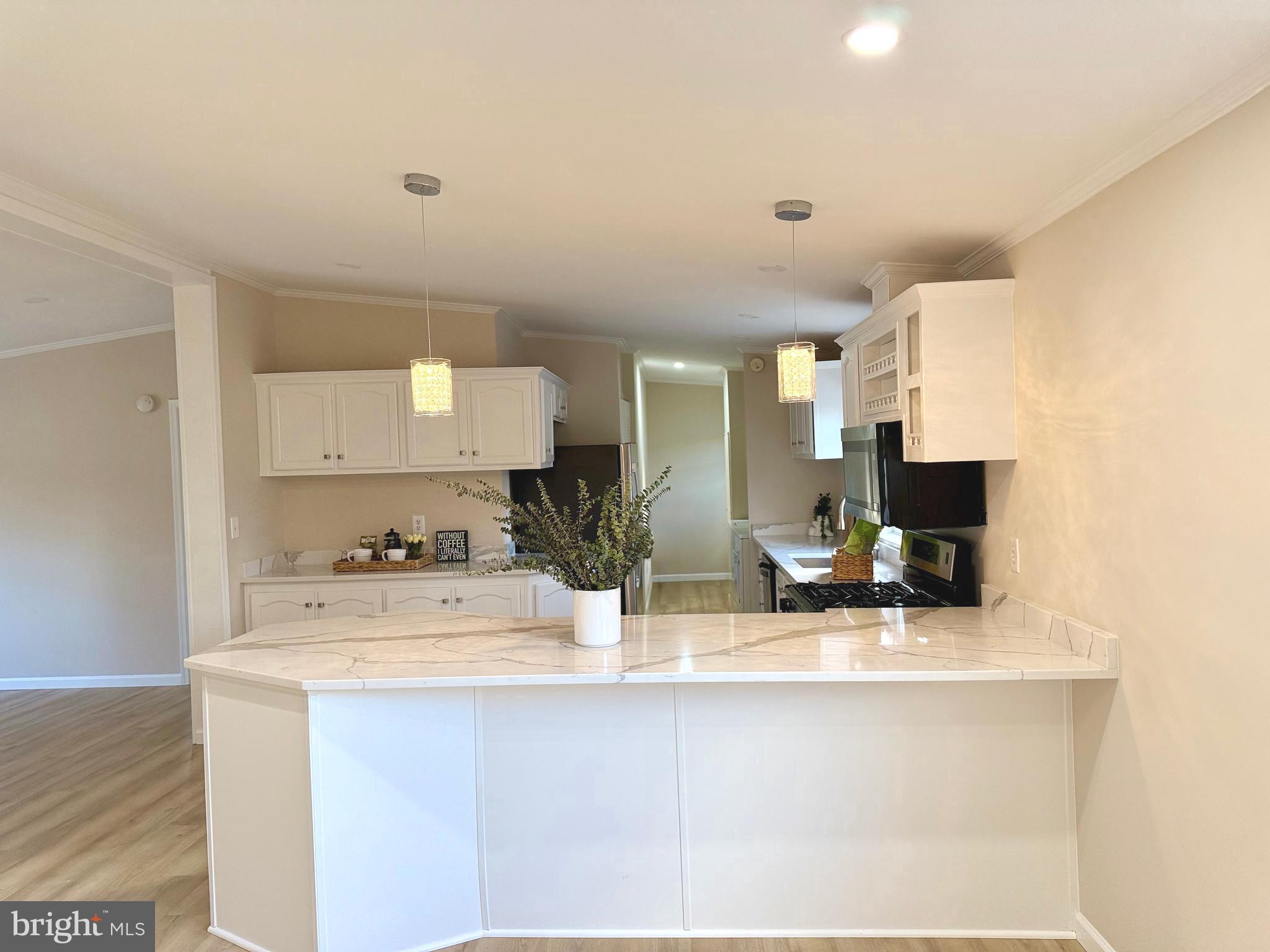 MEADOWS OF CHANTILLY - Residential