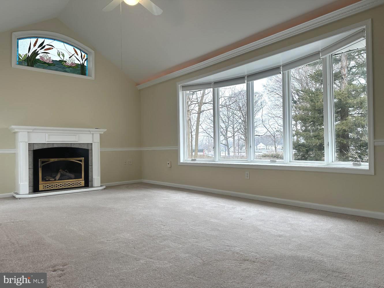 MILL POND ONE - Residential