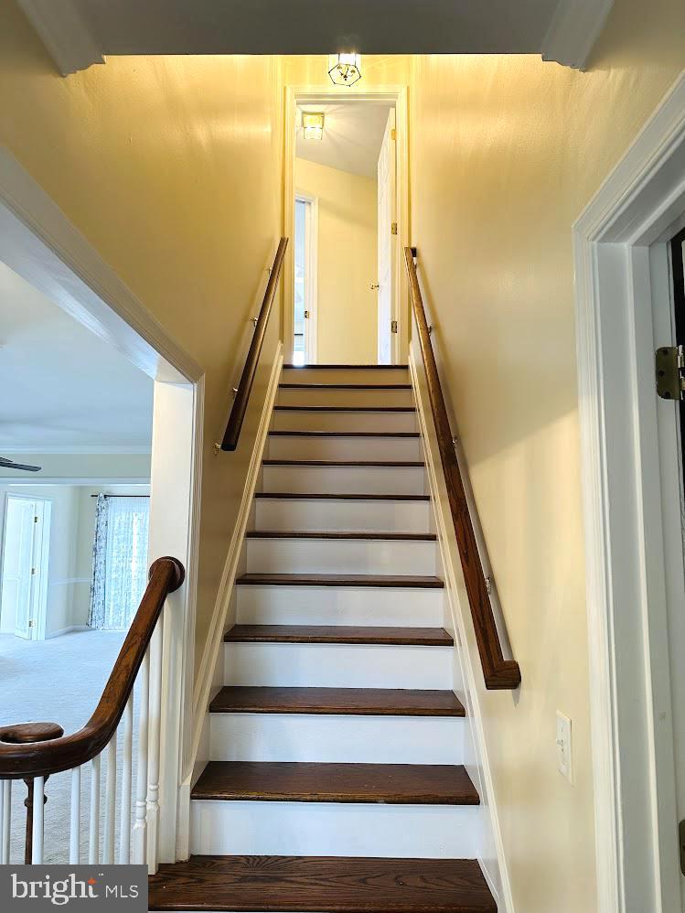 MILL POND ONE - Residential