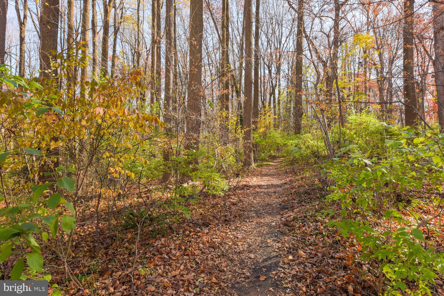 MCLEAN PROVINCE - Residential