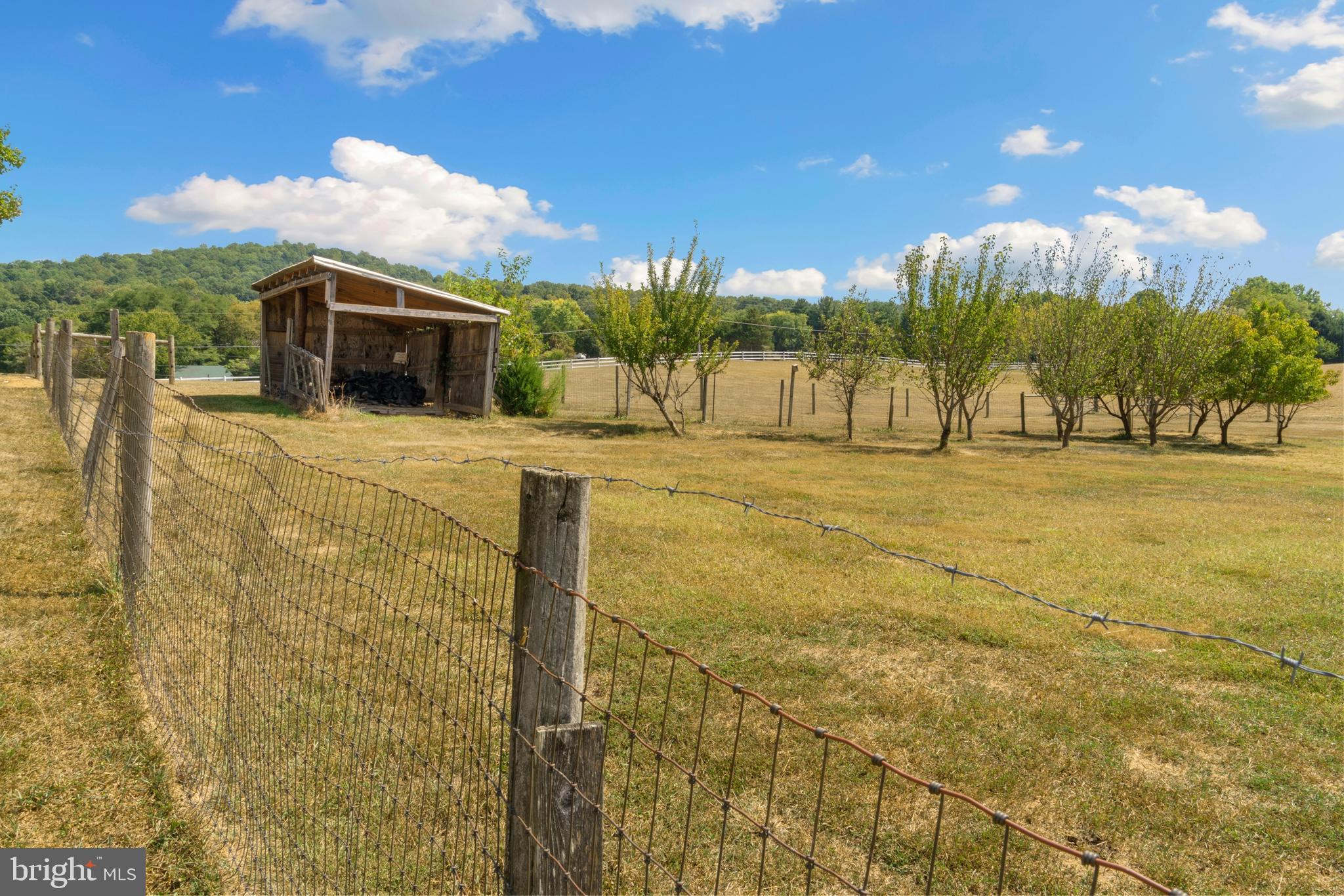 WASHINGTON COUNTY - Farm