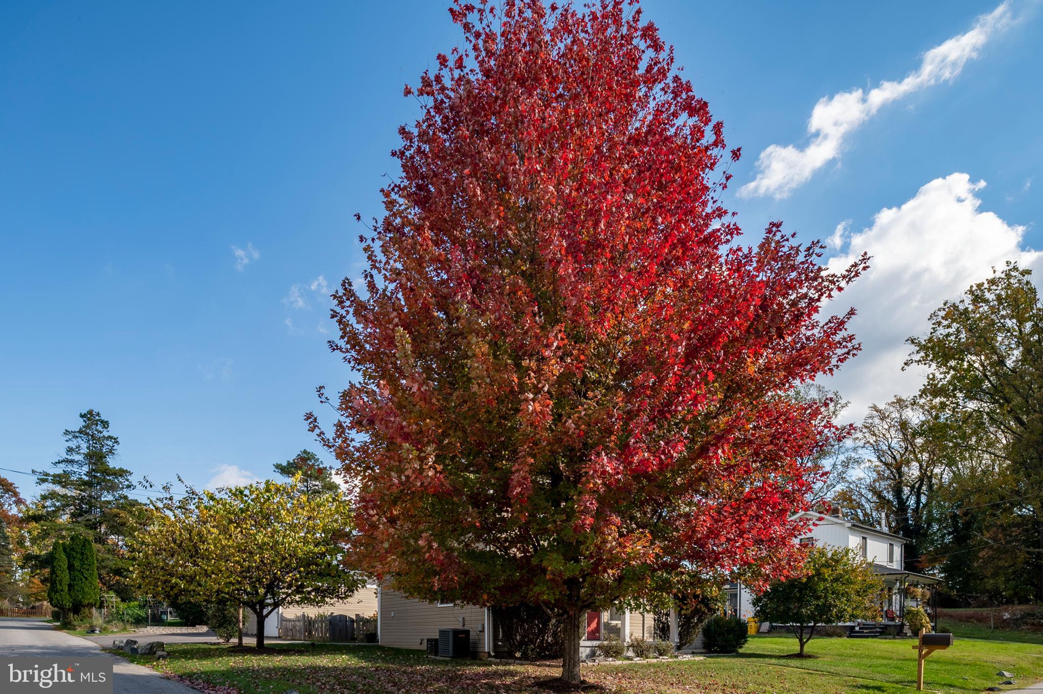 CATONSVILLE - Residential Lease