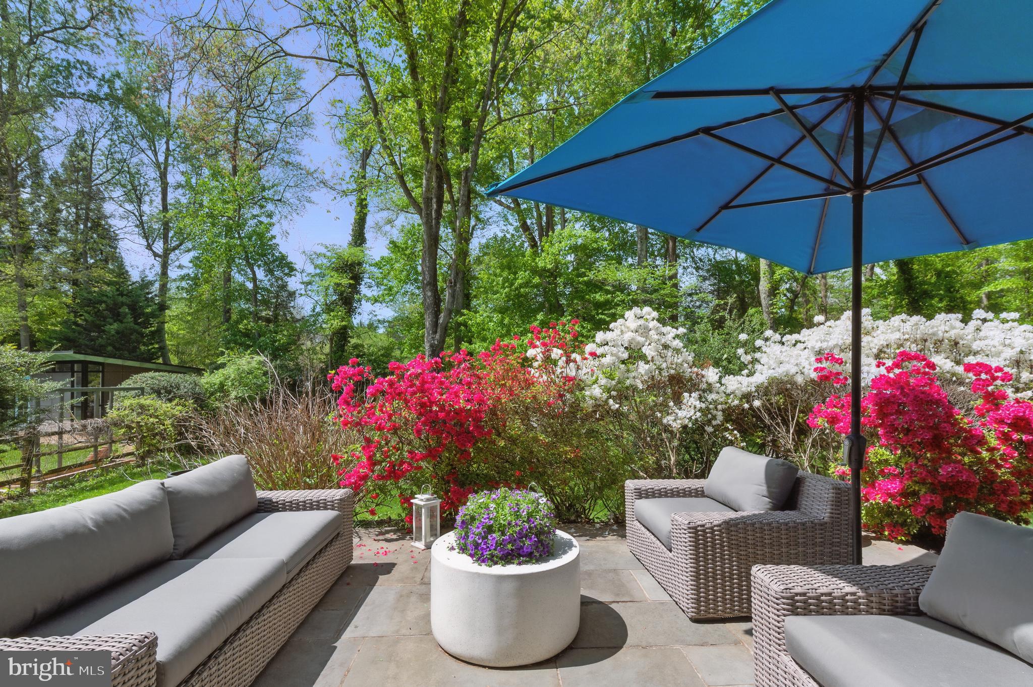 CARDEROCK SPRINGS - Residential