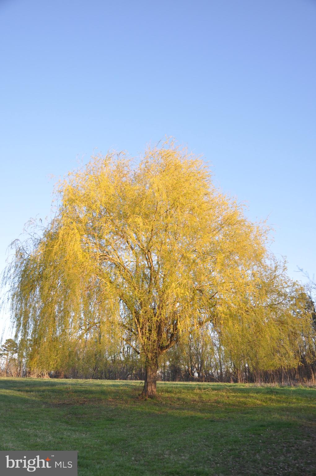 CHANTILLY FARM - Farm