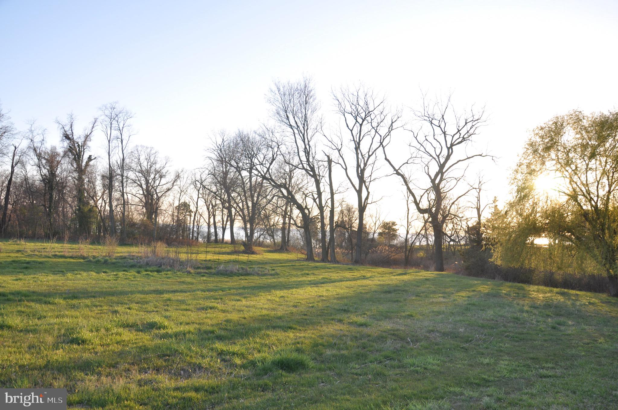 CHANTILLY FARM - Farm