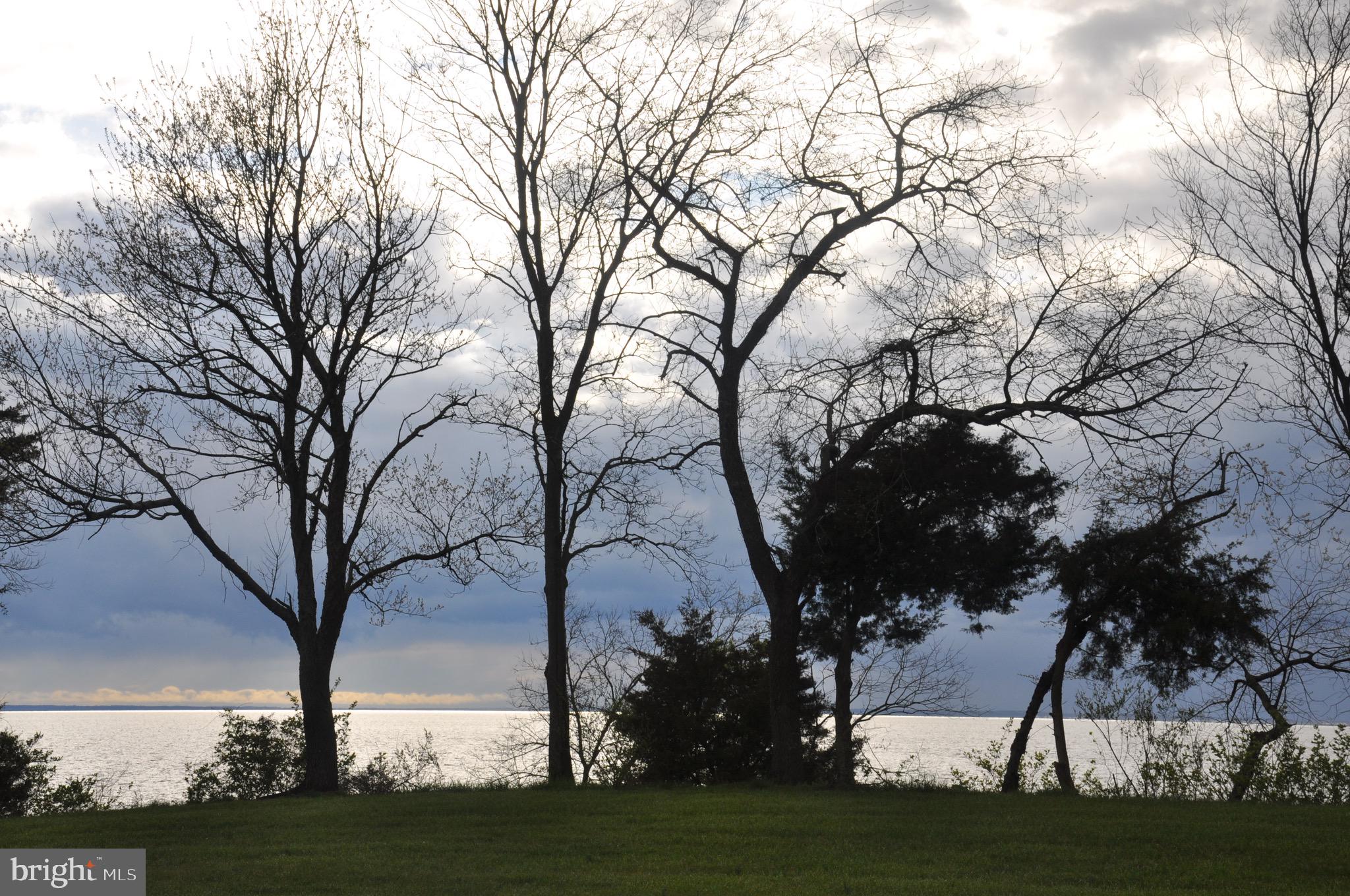 CHANTILLY FARM - Farm