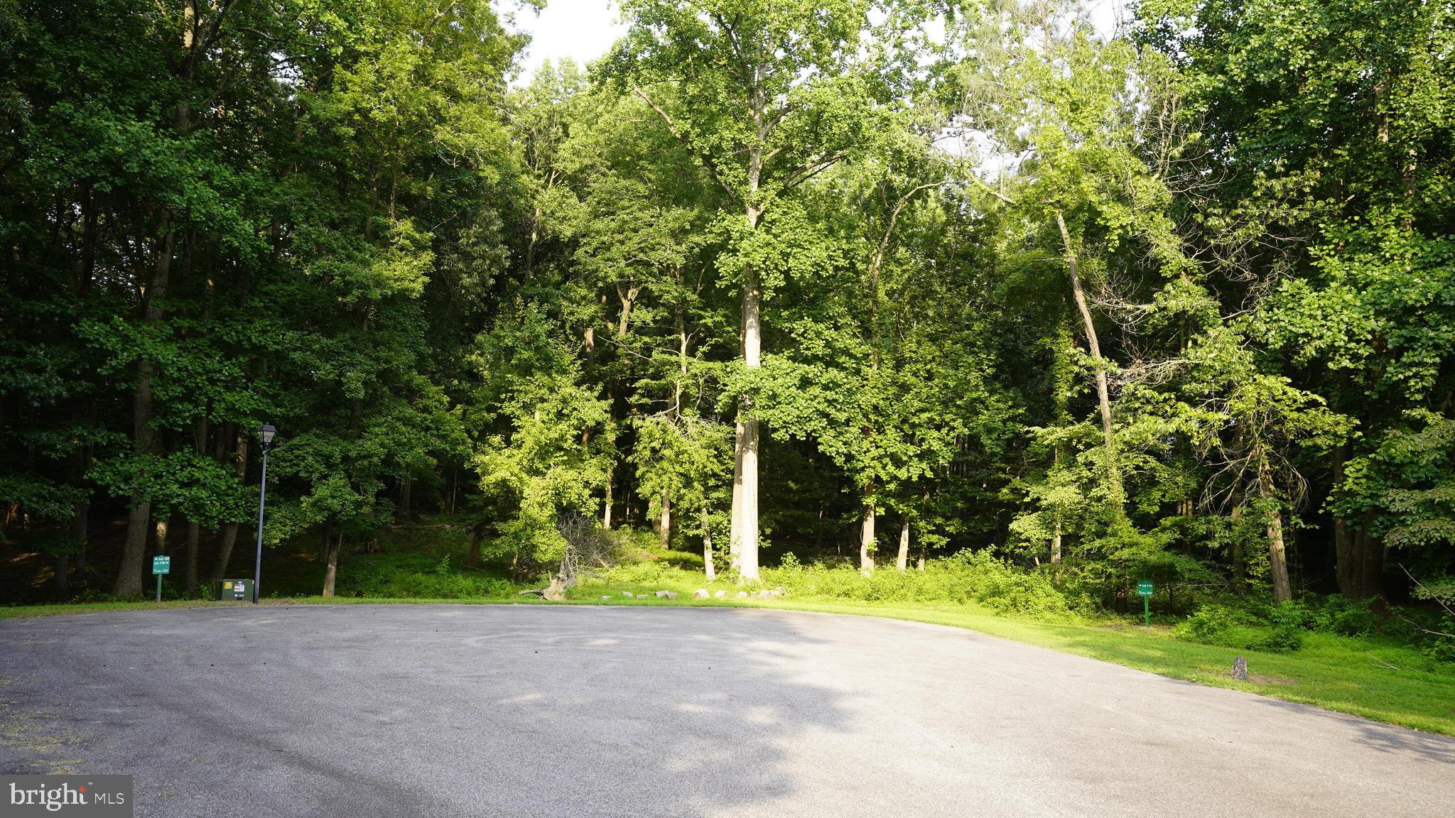 0 WOLFRIDGE LN LOT 119