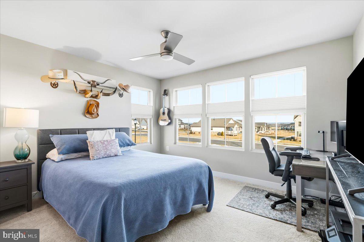 BLOOMFIELDS - Residential