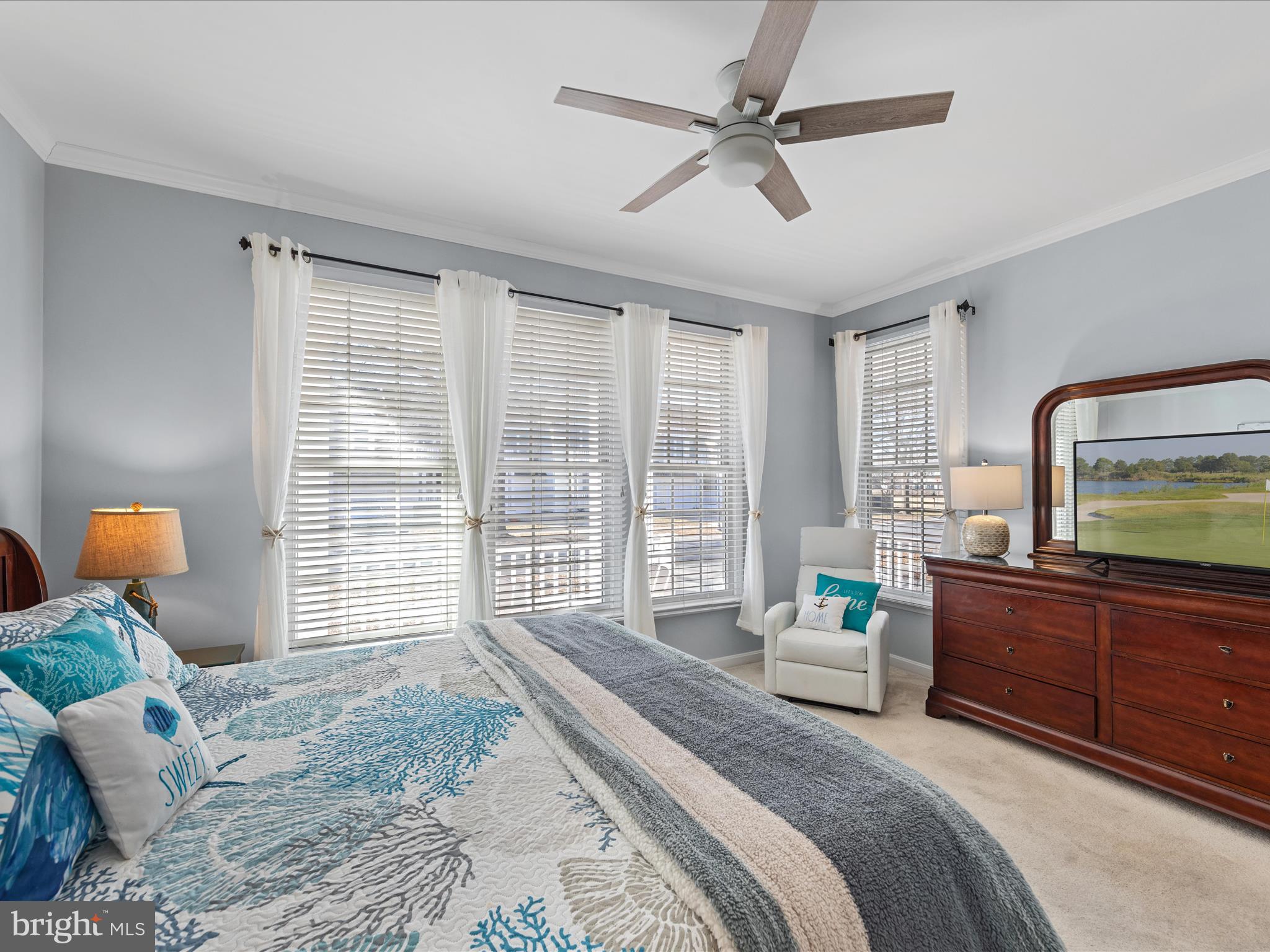 BEAR TRAP - Residential