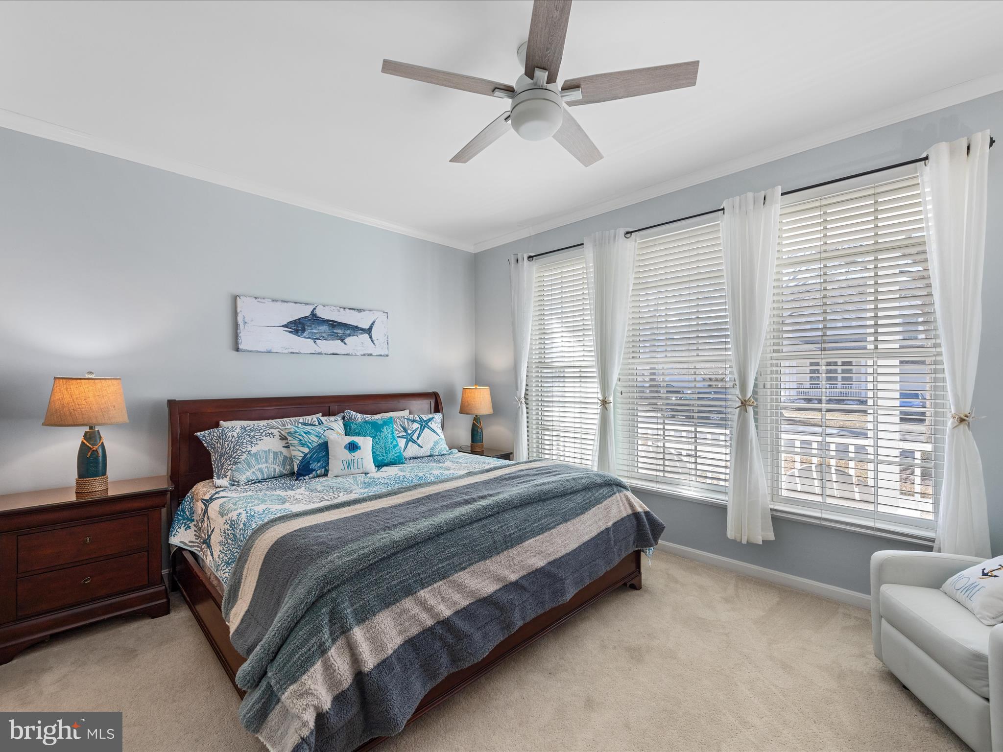 BEAR TRAP - Residential