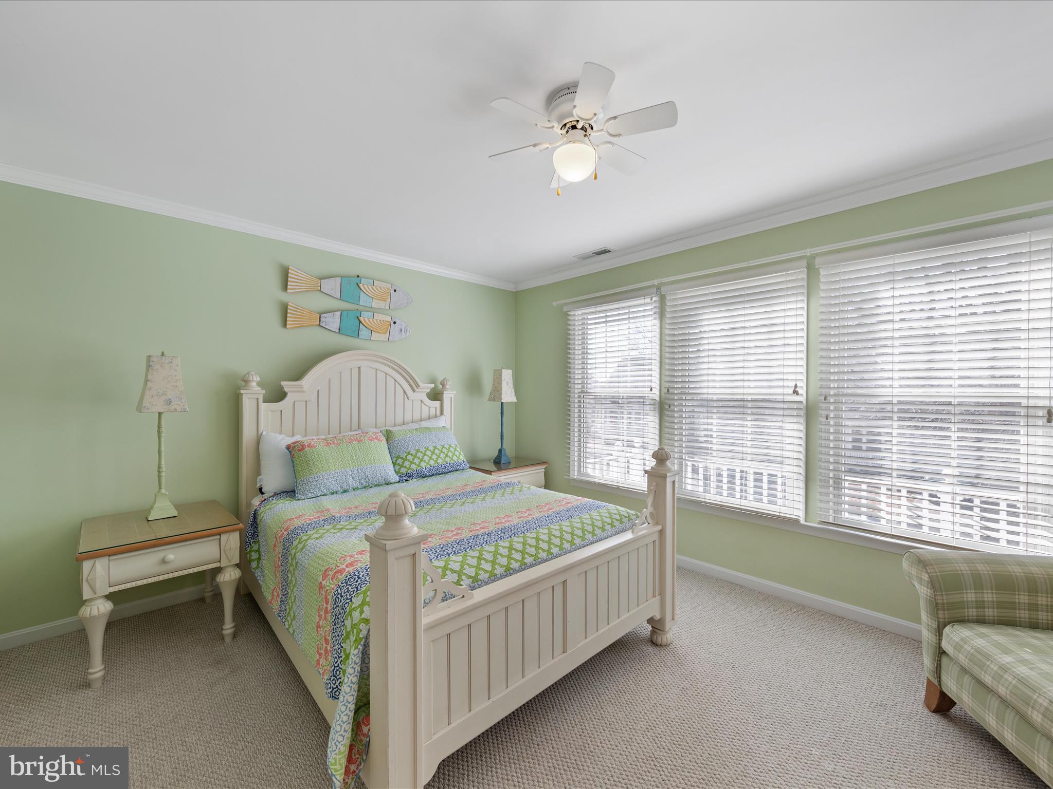 BEAR TRAP - Residential