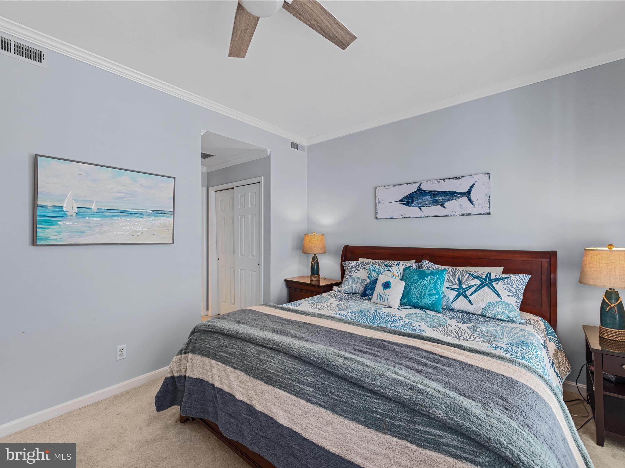 BEAR TRAP - Residential