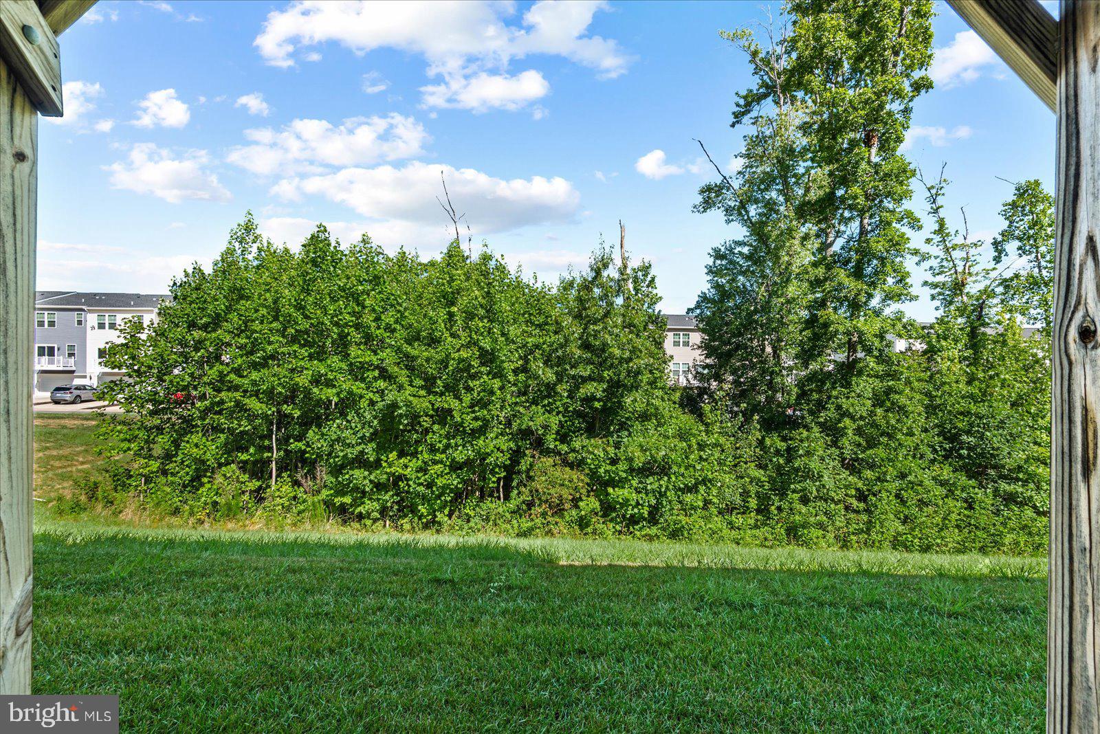 THE VILLAGE AT COURTHOUSE COMMONS - Residential