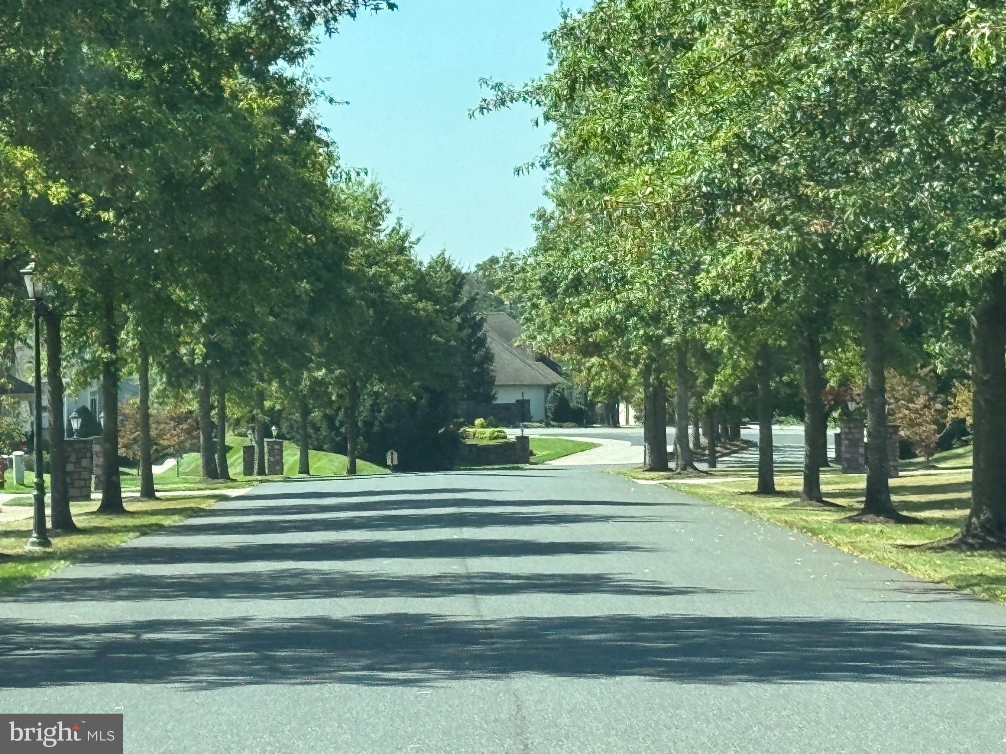 8 N CHAMBERLAIN COURT