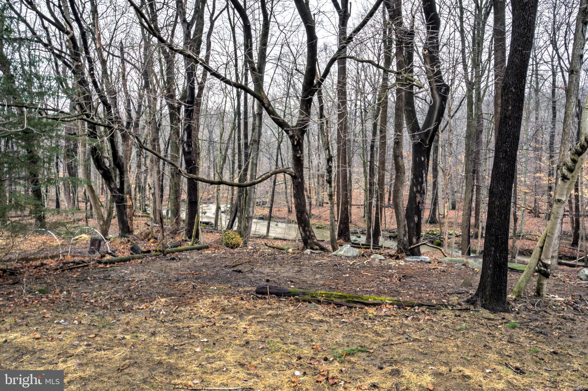 INDIAN SPRINGS - Residential