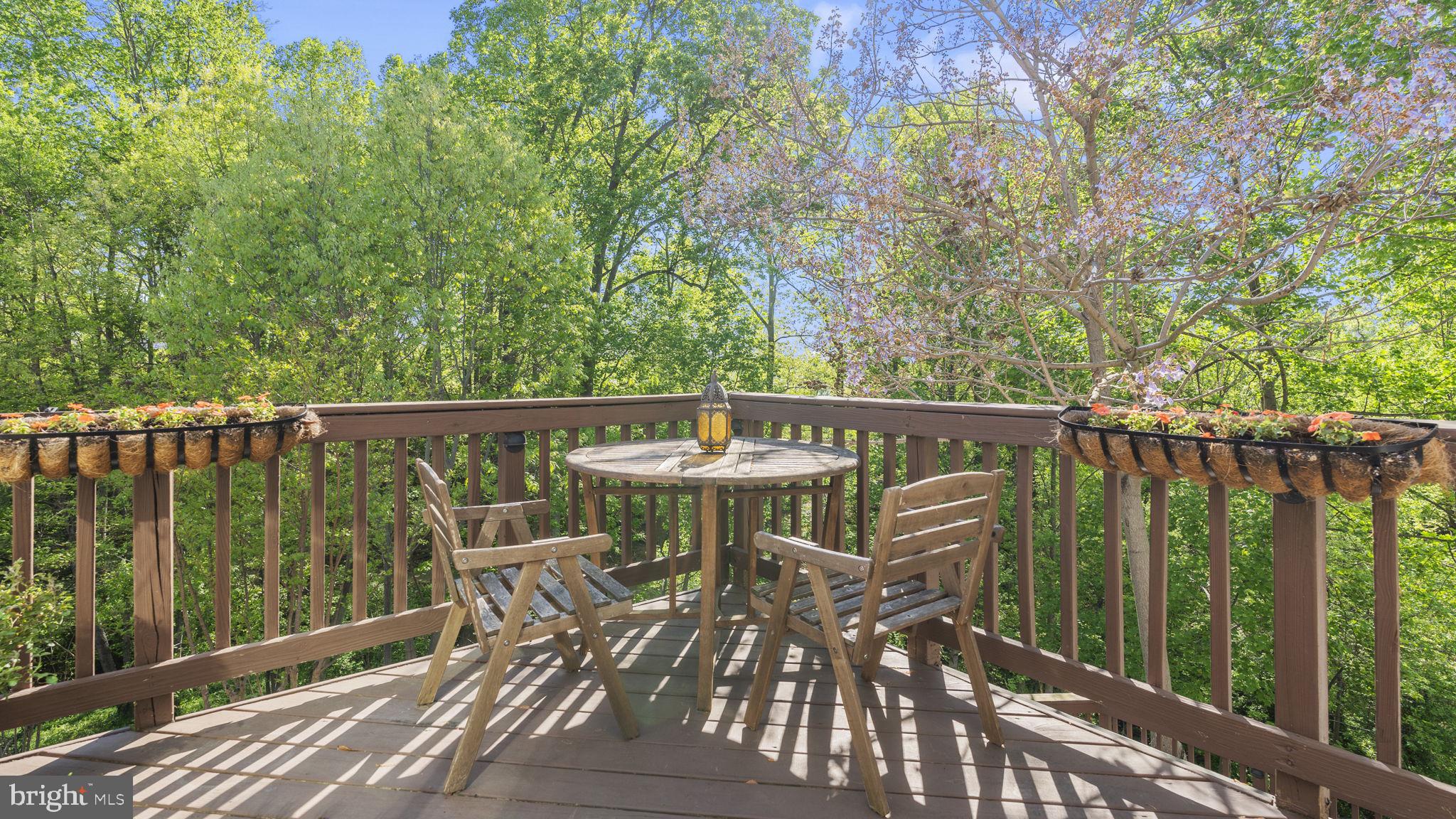 BELMONT BAY - Residential Lease